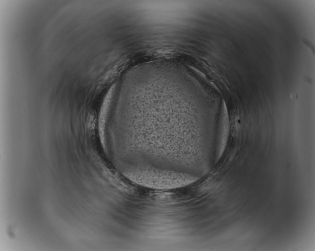 X0000099470472200805231834