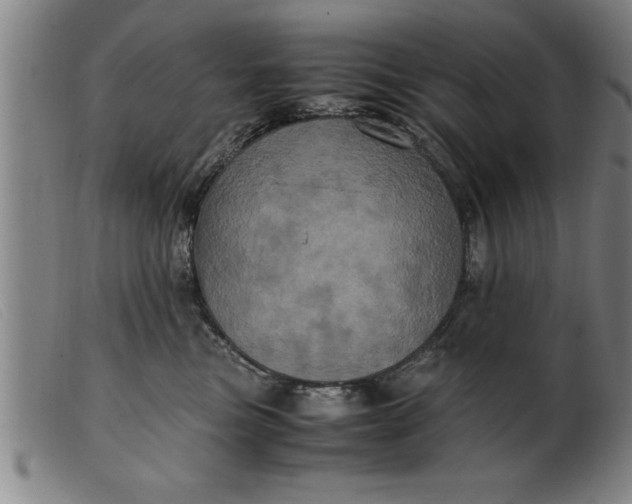 X0000099470473200805231834