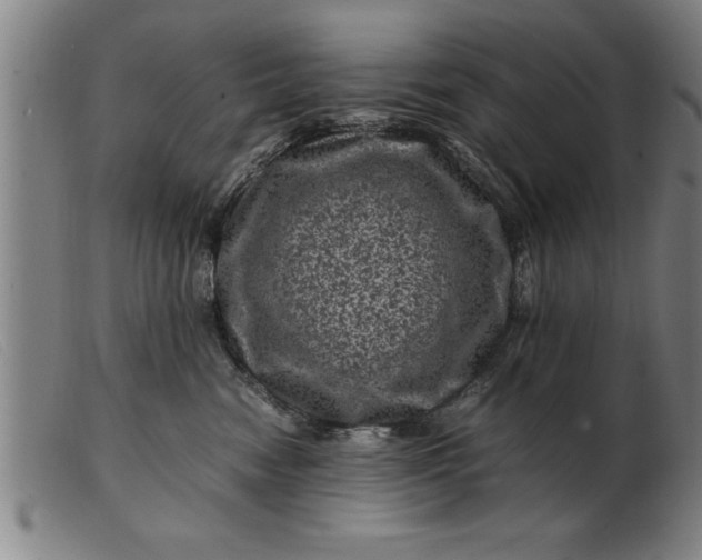 X0000099470474200805231835