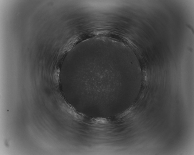 X0000099470475200805231835