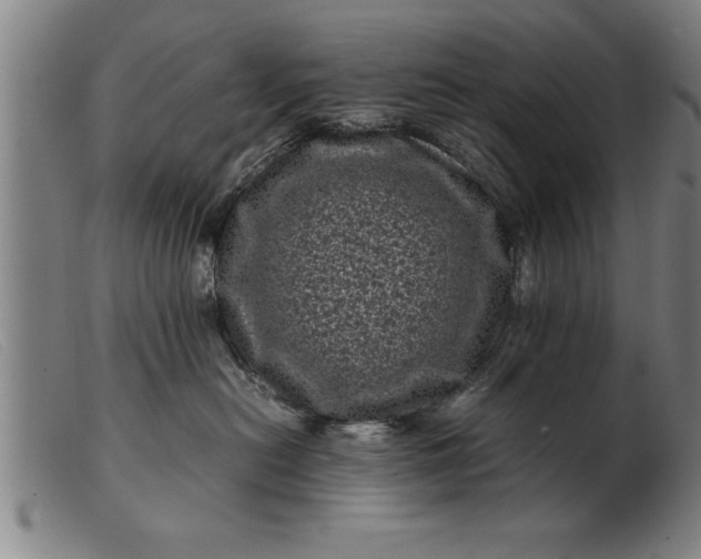 X0000099470478200805231835