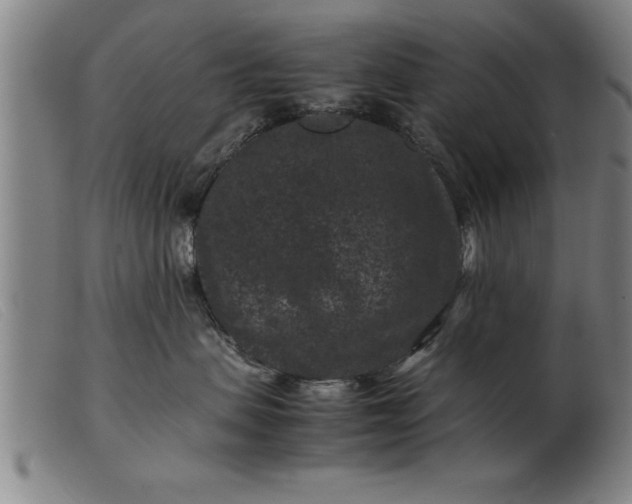 X0000099470479200805231835