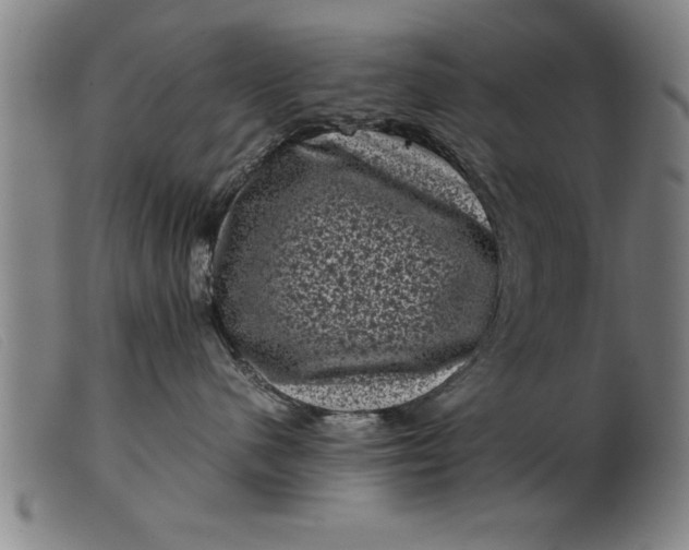 X0000099470480200805231835