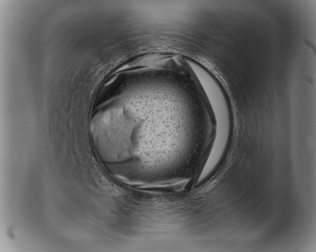 X0000099470481200805231834