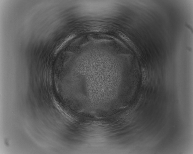 X0000099470482200805231834