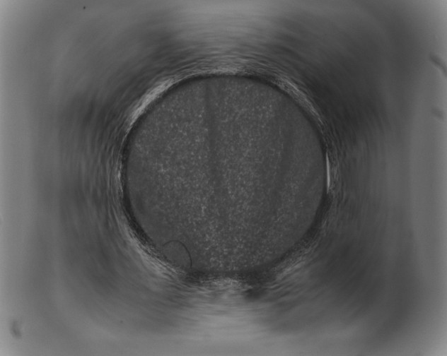 X0000099470483200805231834