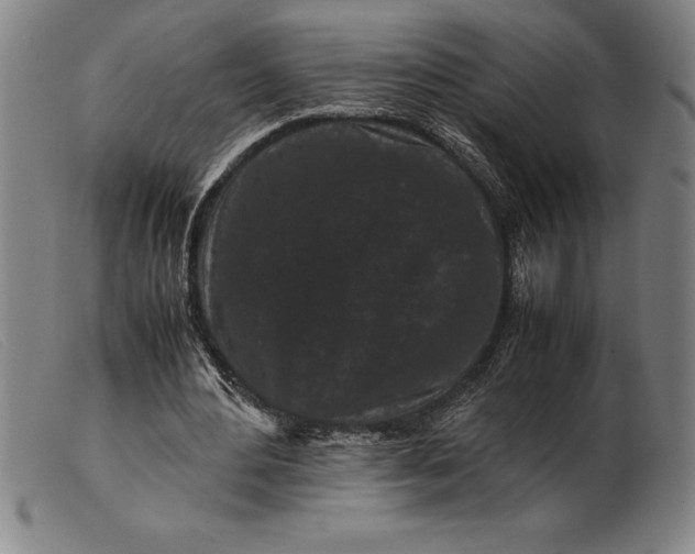 X0000099470484200805231834