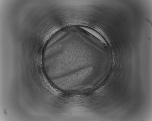 X0000099470485200805231834