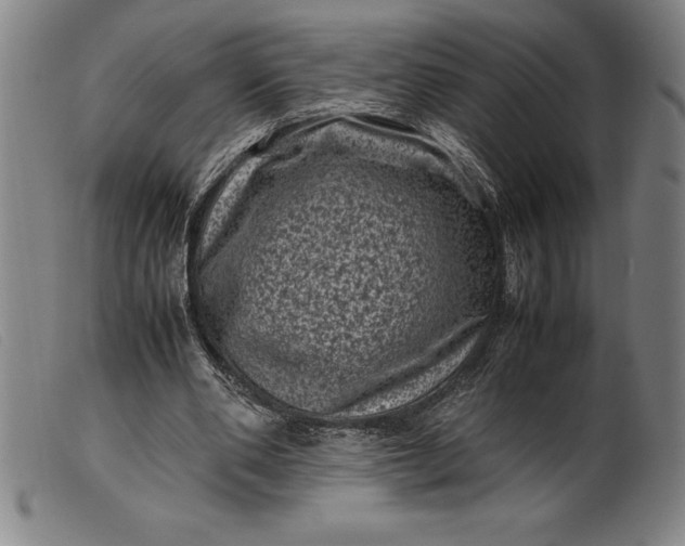 X0000099470486200805231834