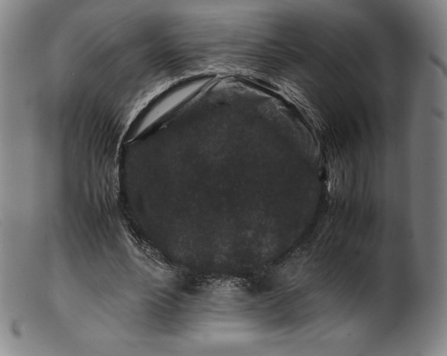 X0000099470488200805231834