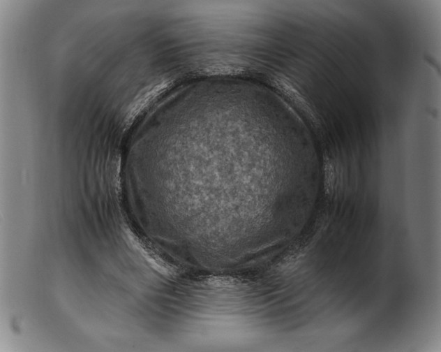 X0000099470490200805231834