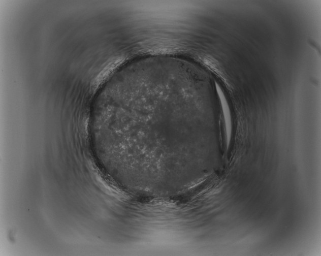 X0000099470491200805231834