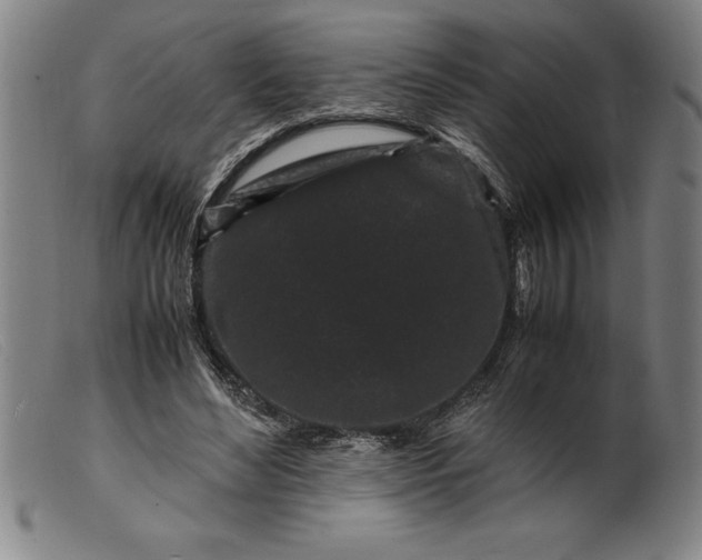 X0000099470492200805231834