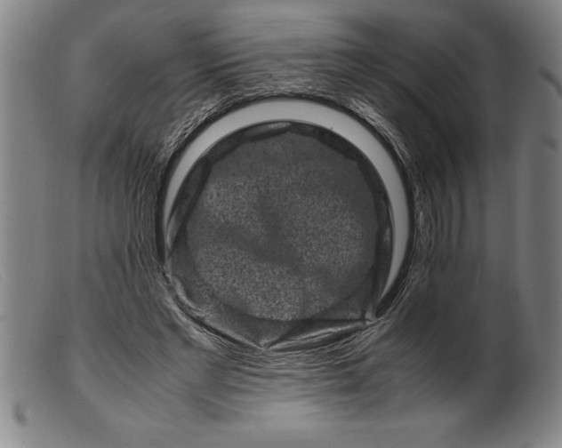 X0000099470493200805231834