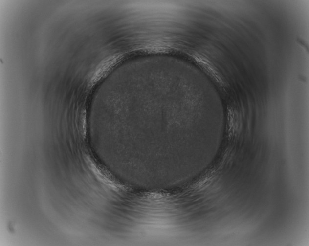 X0000099470494200805231834