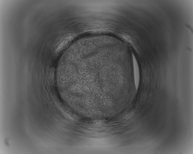 X0000099470495200805231834