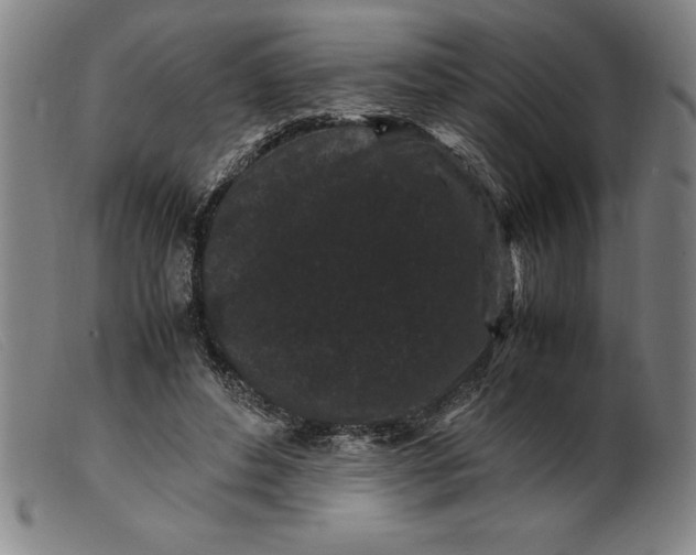 X0000099470496200805231834