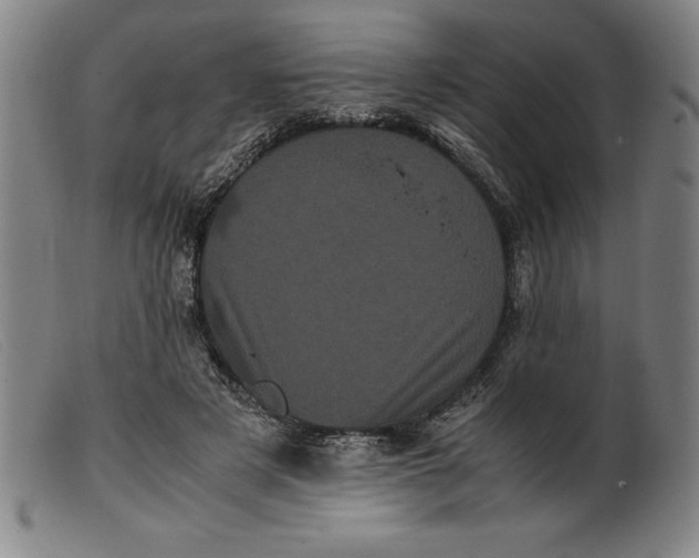 X0000099470497200805231834