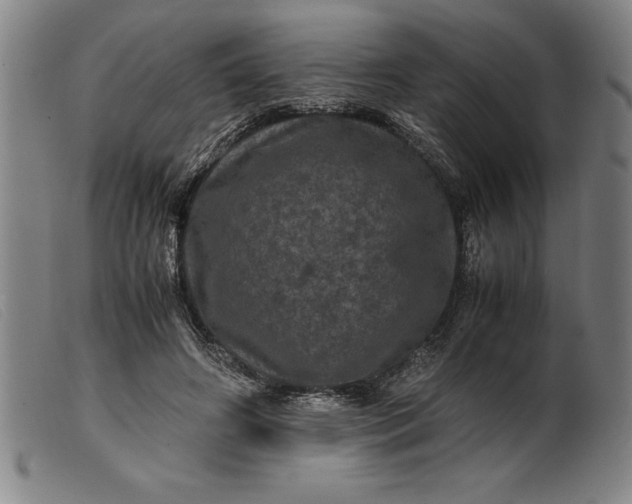 X0000099470498200805231834