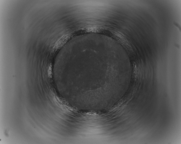 X0000099470502200805231833