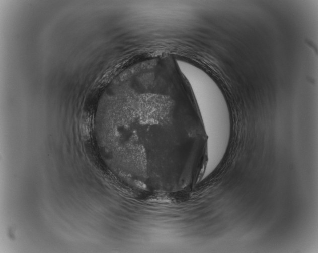 X0000099470503200805231833