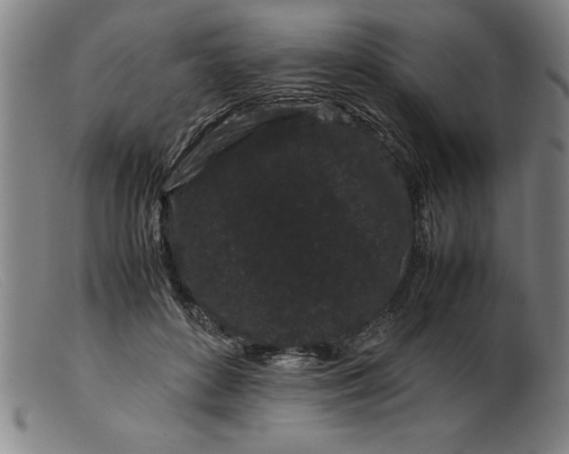X0000099470504200805231833