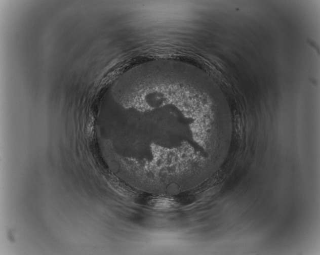 X0000099470507200805231833
