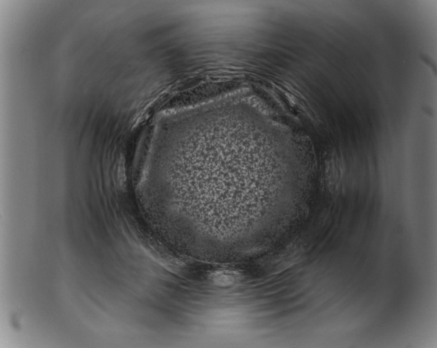X0000099470508200805231833