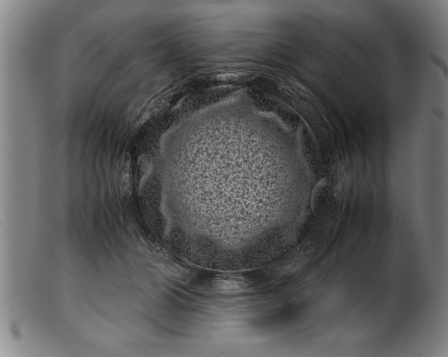 X0000099470510200805231833
