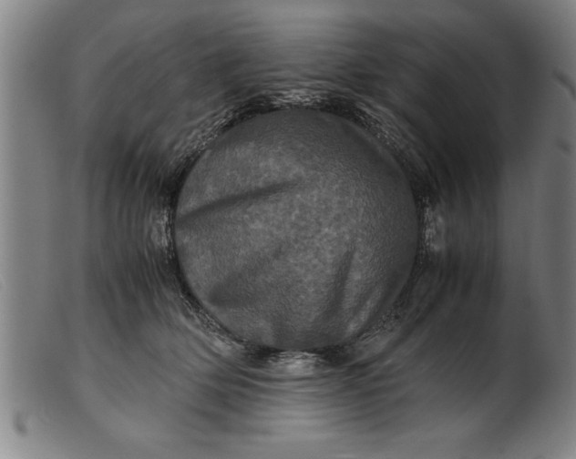 X0000099470514200805231833