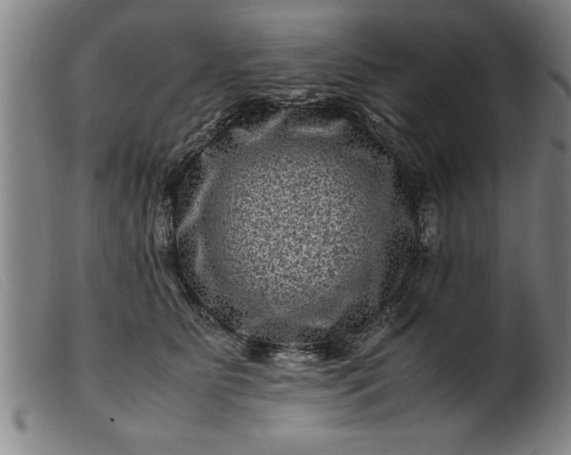 X0000099470515200805231833