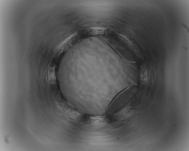 X0000099470516200805231833