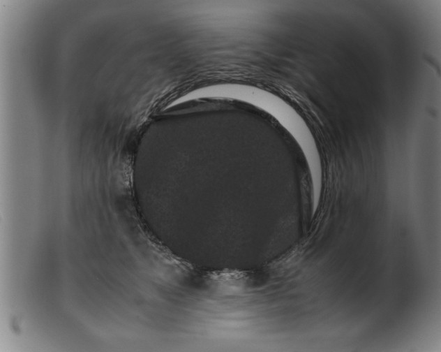 X0000099470517200805231833