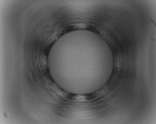 X0000099470518200805231833
