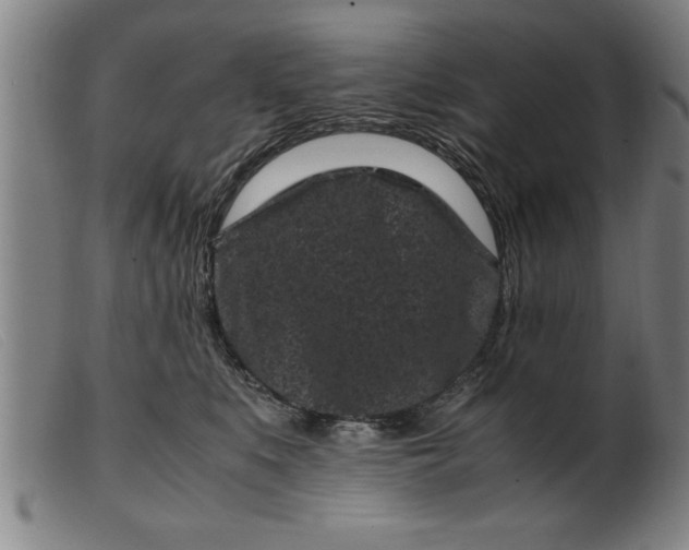 X0000099470519200805231833