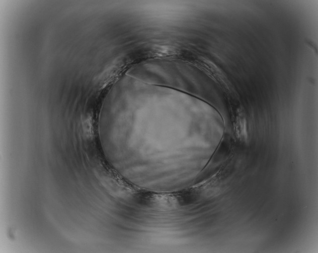 X0000099470520200805231833