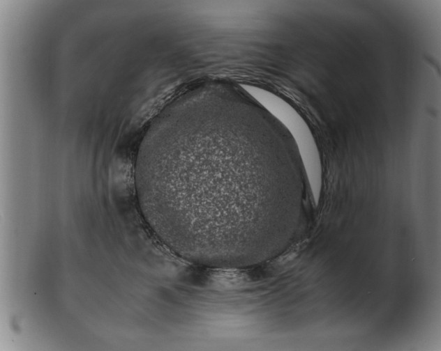 X0000099470521200805231833