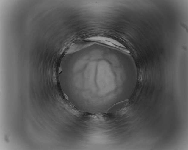X0000099470524200805231833