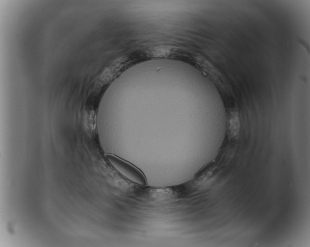 X0000099470525200805231833