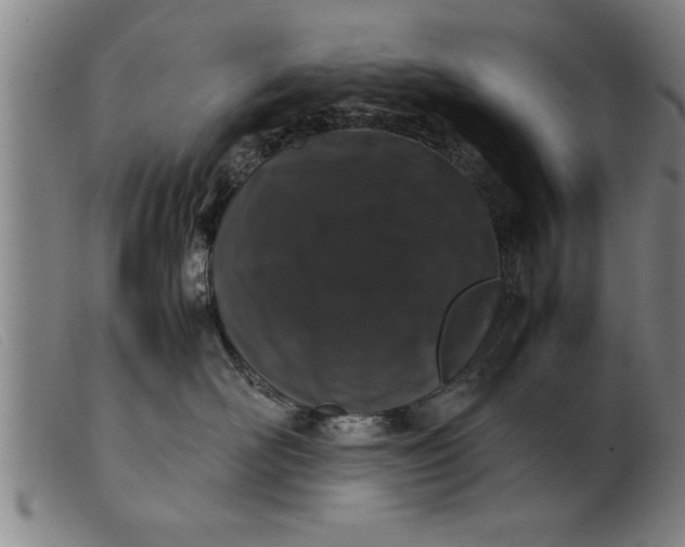 X0000099470526200805231833