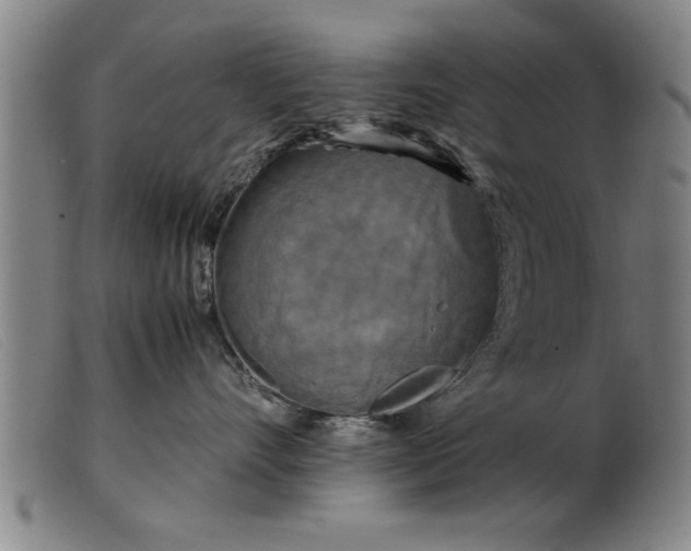 X0000099470528200805231833