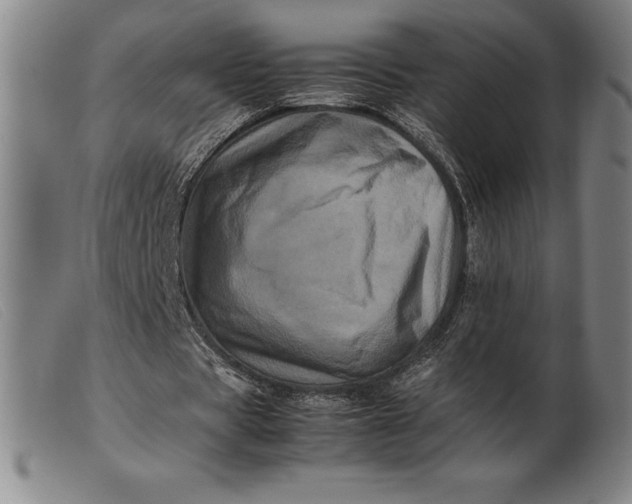 X0000099470529200805231832