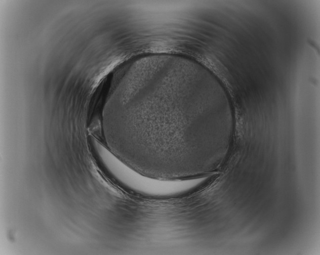 X0000099470530200805231832