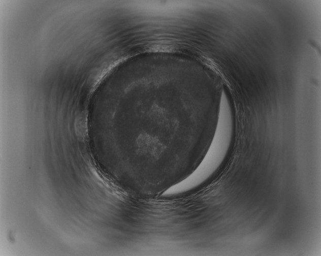 X0000099470531200805231832