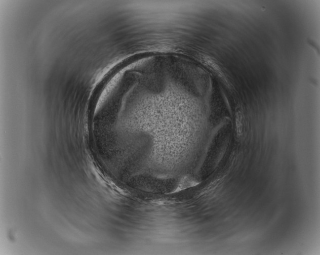 X0000099470532200805231832