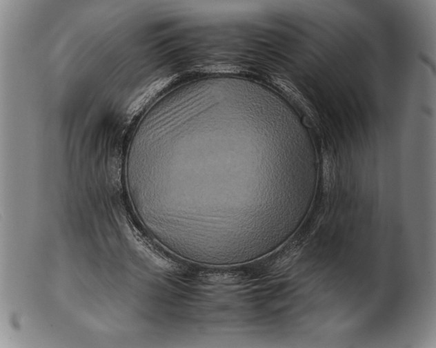 X0000099470533200805231832
