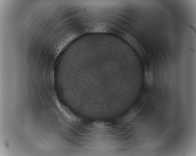 X0000099470534200805231832