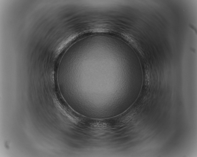 X0000099470535200805231832