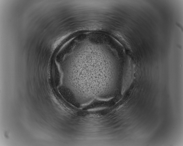 X0000099470536200805231832