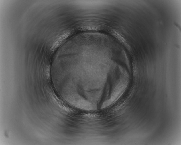 X0000099470537200805231832